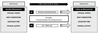 Effects of an Educational Hybrid Physical Education Program on Physical Fitness, Body Composition and Sedentary and Physical Activity Times in Adolescents: The Seneb’s Enigma